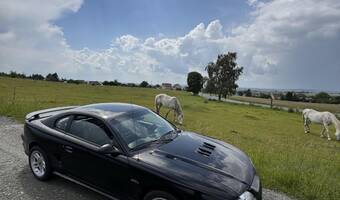 Ford Mustang GT SN95 1996