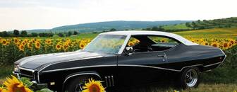 Buick Skylark  1969